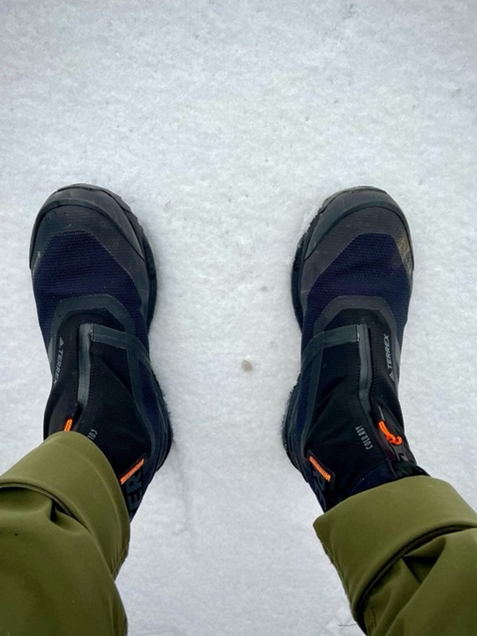 TERREX FREE HIKER COLD.RDY HIKING BOOTS
